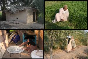 Egyptian farm life